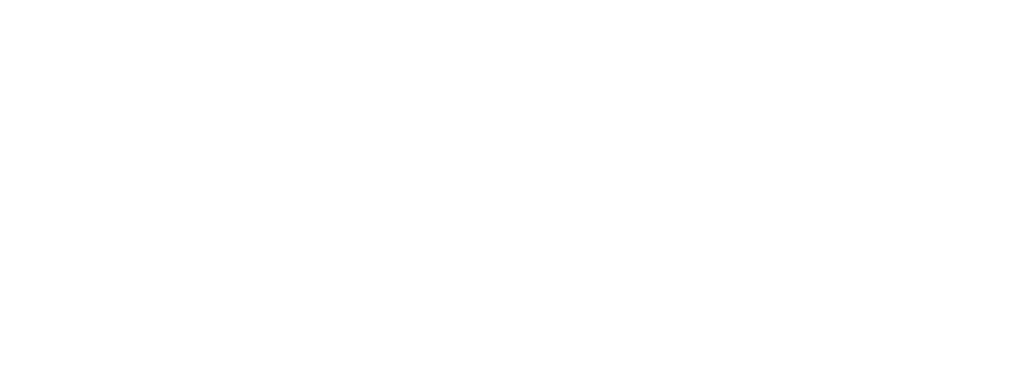 logo negativ